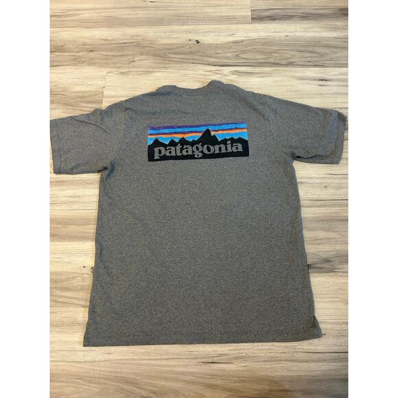 Patagonia Gray Short Sleeve Graphic Tee Crew Neck Logo T-Shirt Men’s Medium - Picture 1 of 3